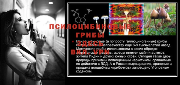 амфетамин Алексин