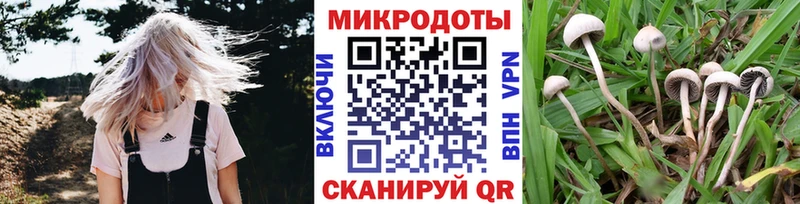 Галлюциногенные грибы ЛСД  закладки  Красный Сулин 